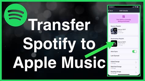 Can I Transfer My Apple Music to Spotify? A Detailed Discussion